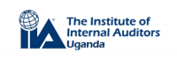 The Institute of internal auditors ug